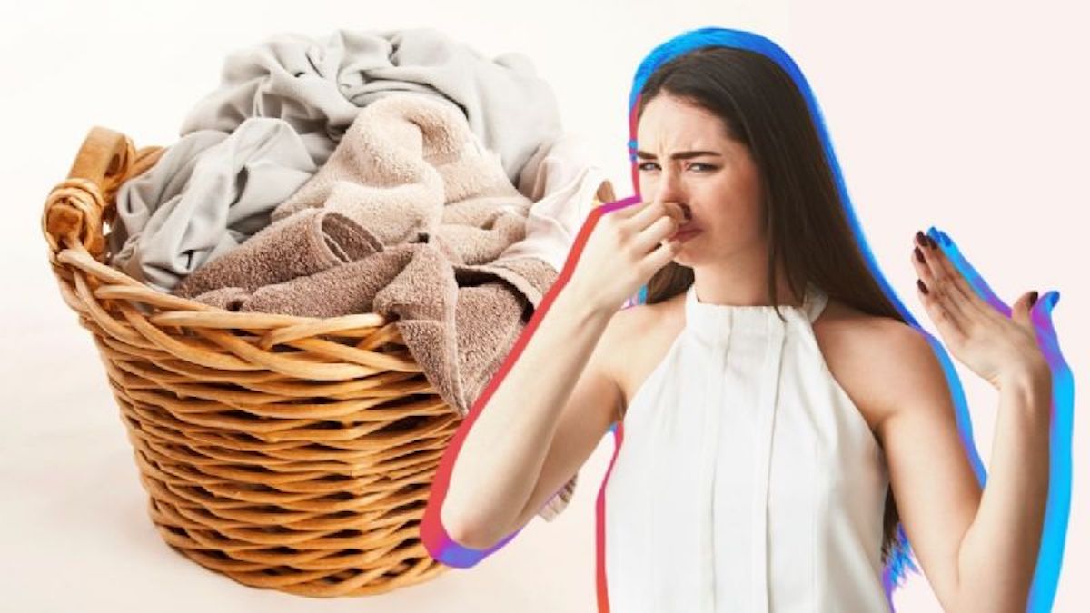 Les astuces des hôtels 5 étoiles pour éliminer l’odeur de renfermé des serviettes