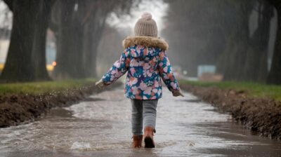 Comment obtenir un récupérateur d'eau de pluie sans frais : étapes essentielles pour bénéficier de subventions locales