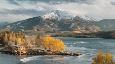 Comment votre extérieur peut briller avec des couleurs vives même durant les mois d’hiver grâce au camélia